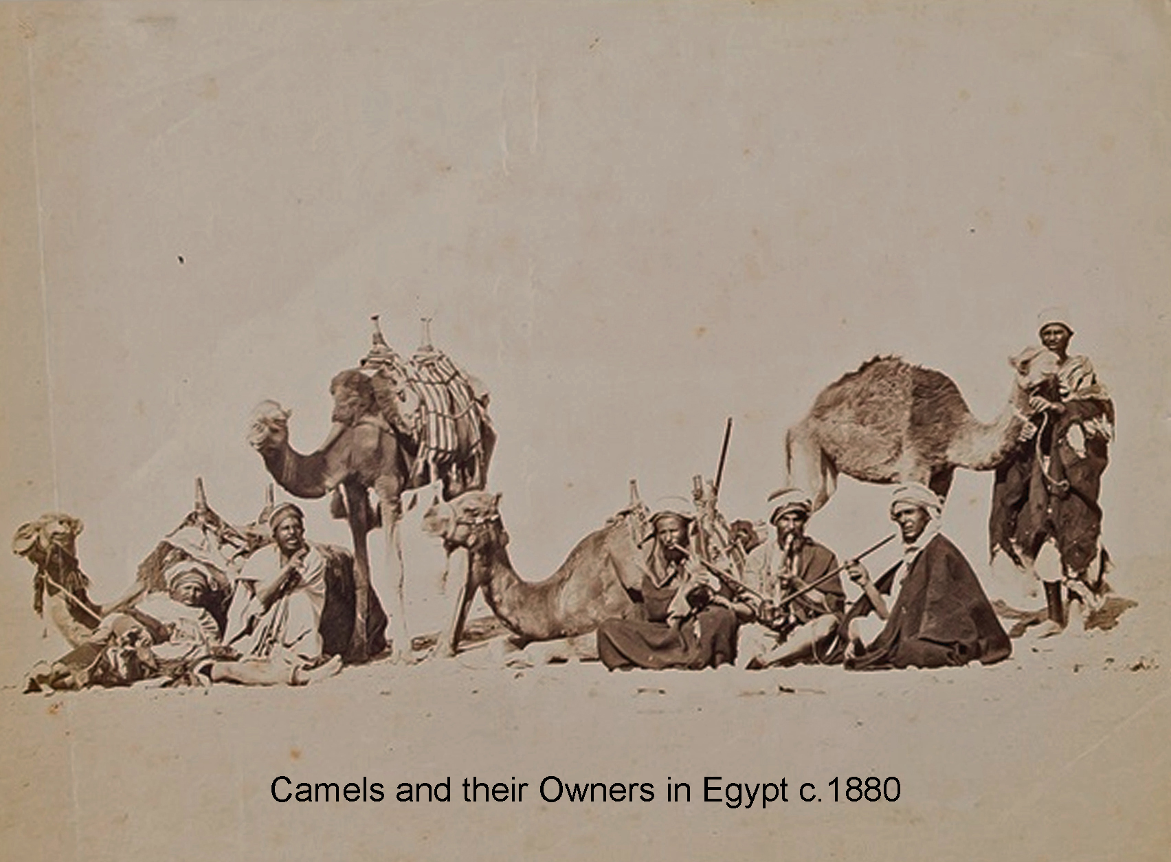 C Camels and Ownersc.1880